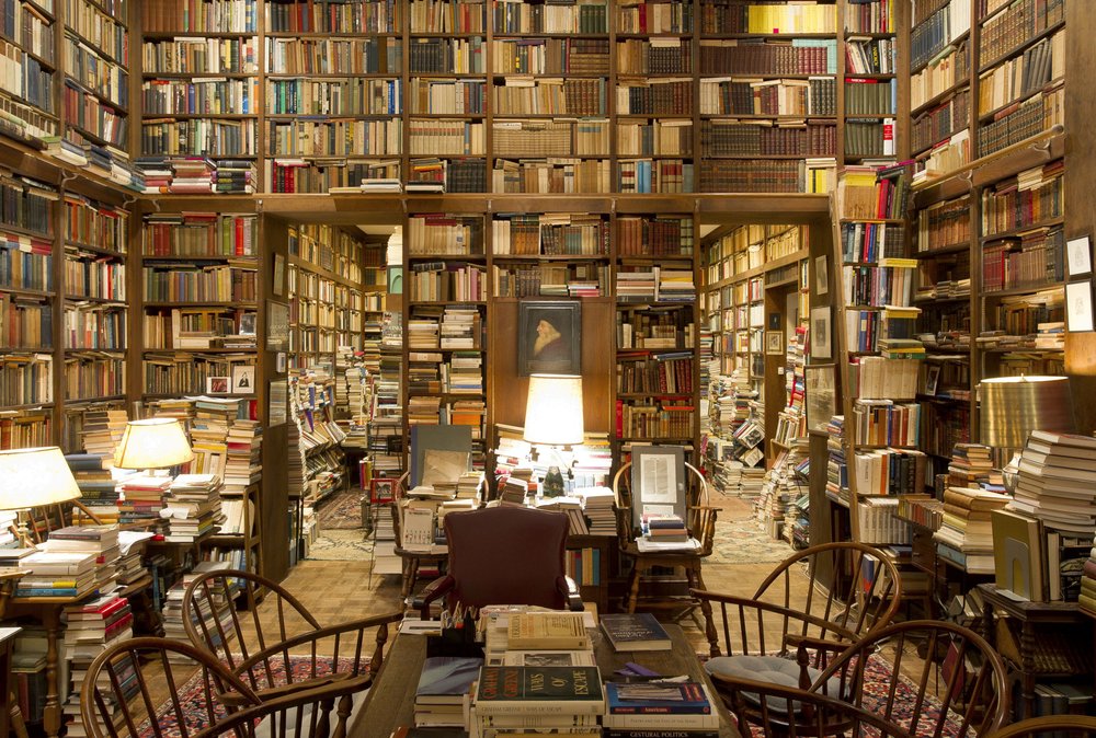 _find_the_cat_in_the_library_among_the_b